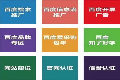 某品牌通过SEM竞价代运营公司实现品牌飞跃的历程